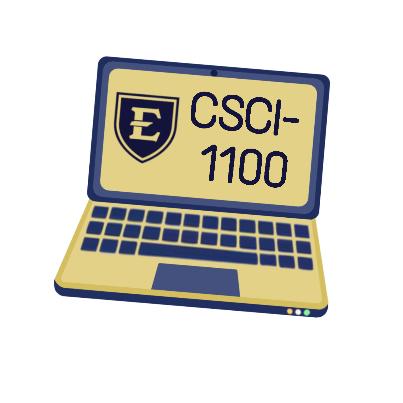 CSCI 1100