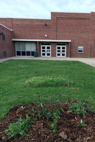 Green Club 2016-2017