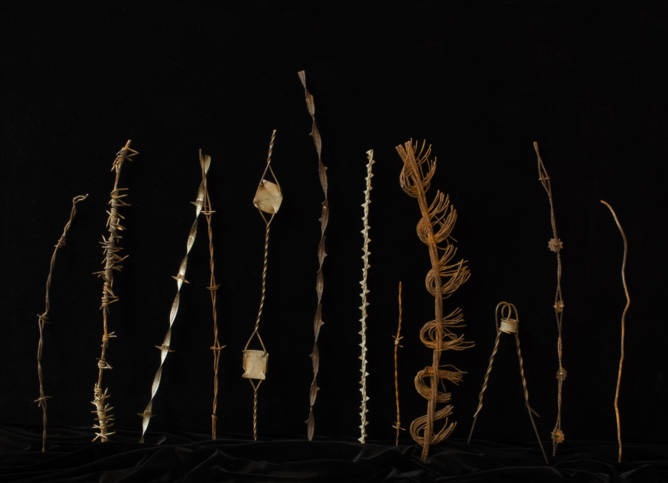 Various pieces of barbed wire in our collection