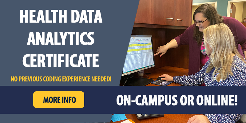 Health data analytics certificate - picture of intern and preceptor