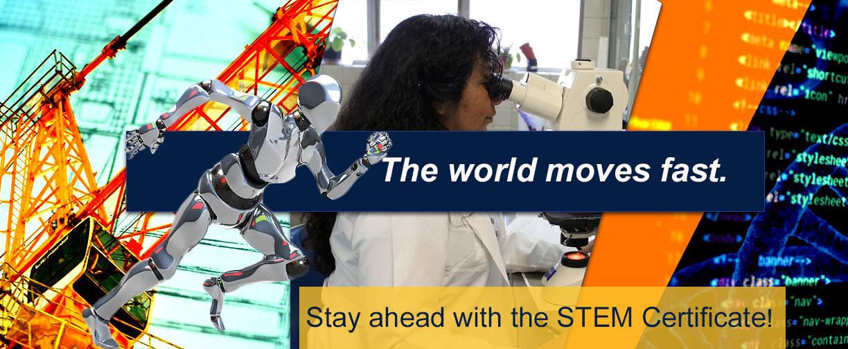 STEM certificate