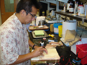 one of the faculty at work