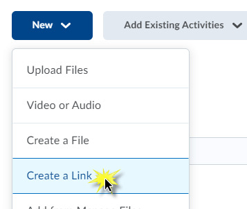 The new button with create a link option selected