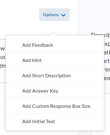Additional question options (add feedback, add hint, add short description, add answer key, add custom response box size, and add initial text)