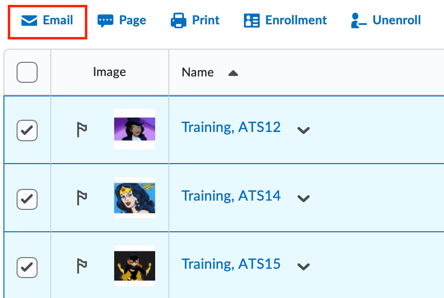 The classlist with students selected and email highlighted