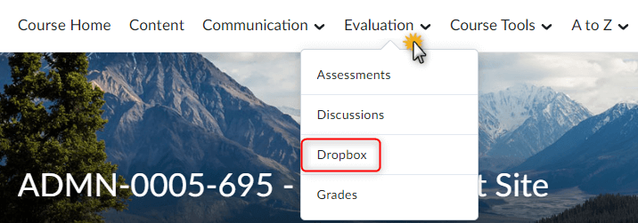 The dropbox option under evaluation