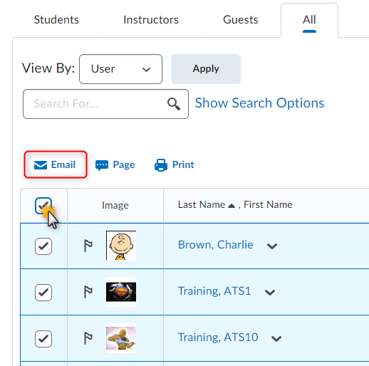 Example of emailing the entire classlist
